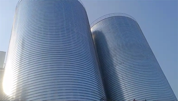 东丽2座混凝土高架卷板仓